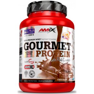 Gourmet Protein - 1000г - Chocolate-Coconut Фото №1